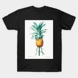 Pineapple - Ananas Comosus Botanical Illustration T-Shirt